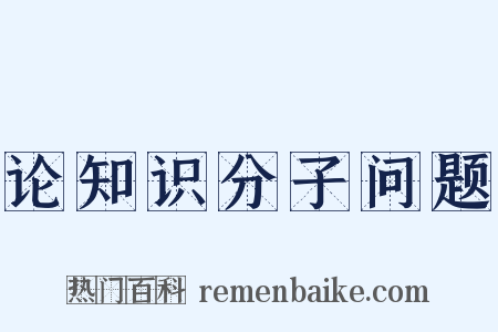 论知识分子问题是什么意思的图片